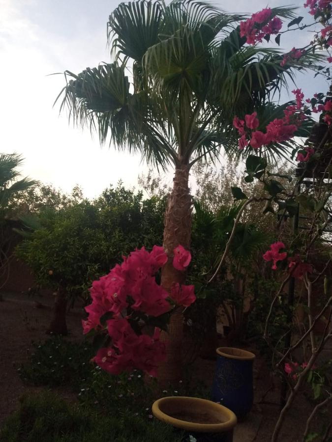 Auberge Bassou Nkob Exterior photo